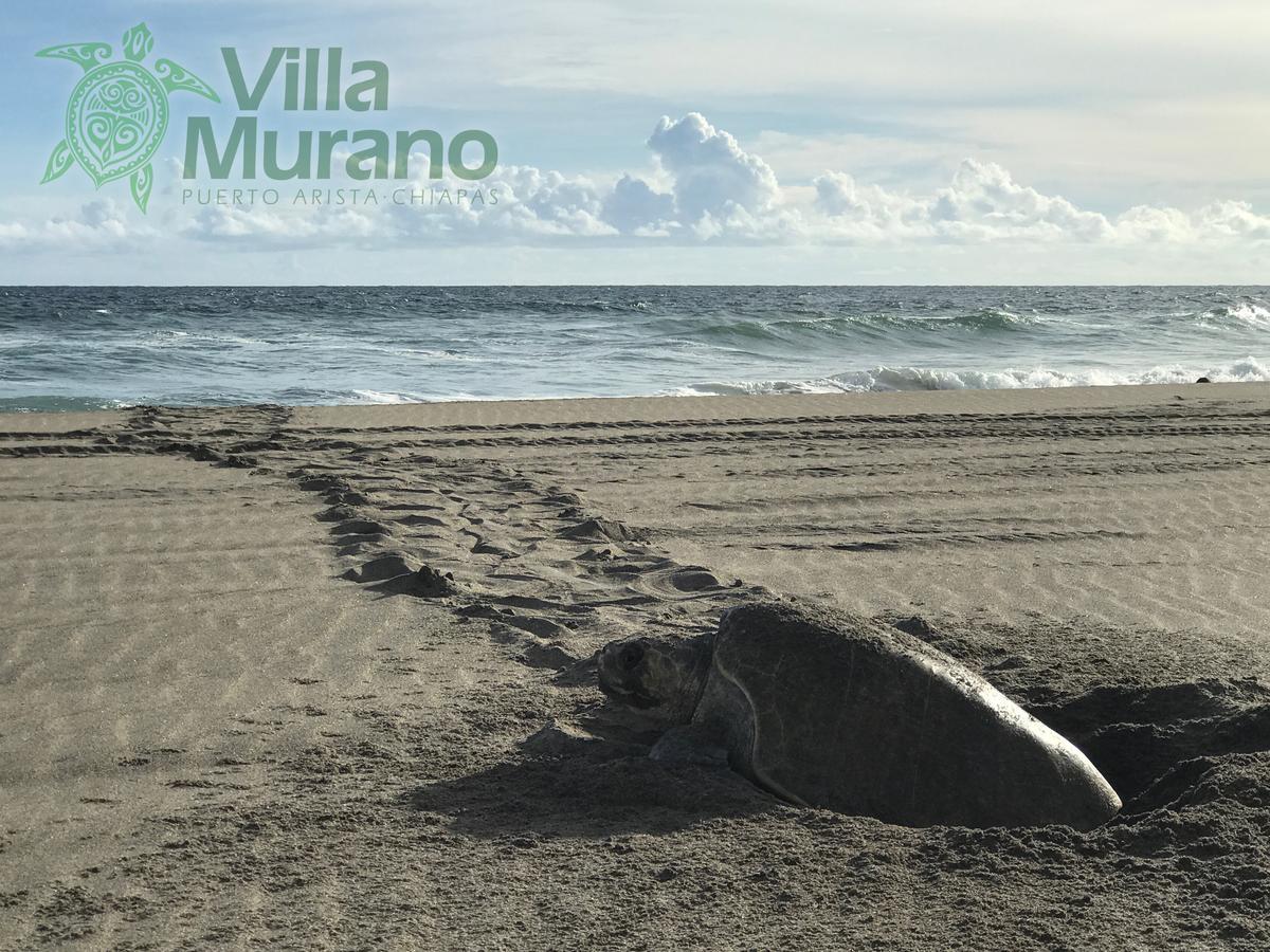 Hotel Villa Murano Puerto Arista Buitenkant foto